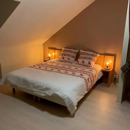 Le Nivelet - Duplex Aux Pieds Des Pistes Toute L'Annee La Feclaz Exterior photo