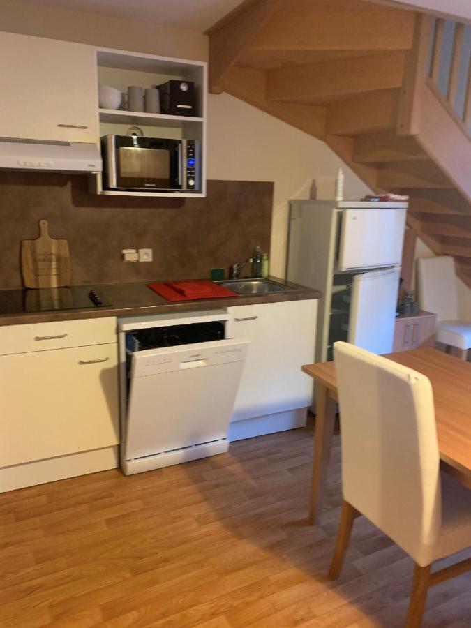 Apartment Le Nivelet - Duplex Aux Pieds Des Pistes Toute L'annee *