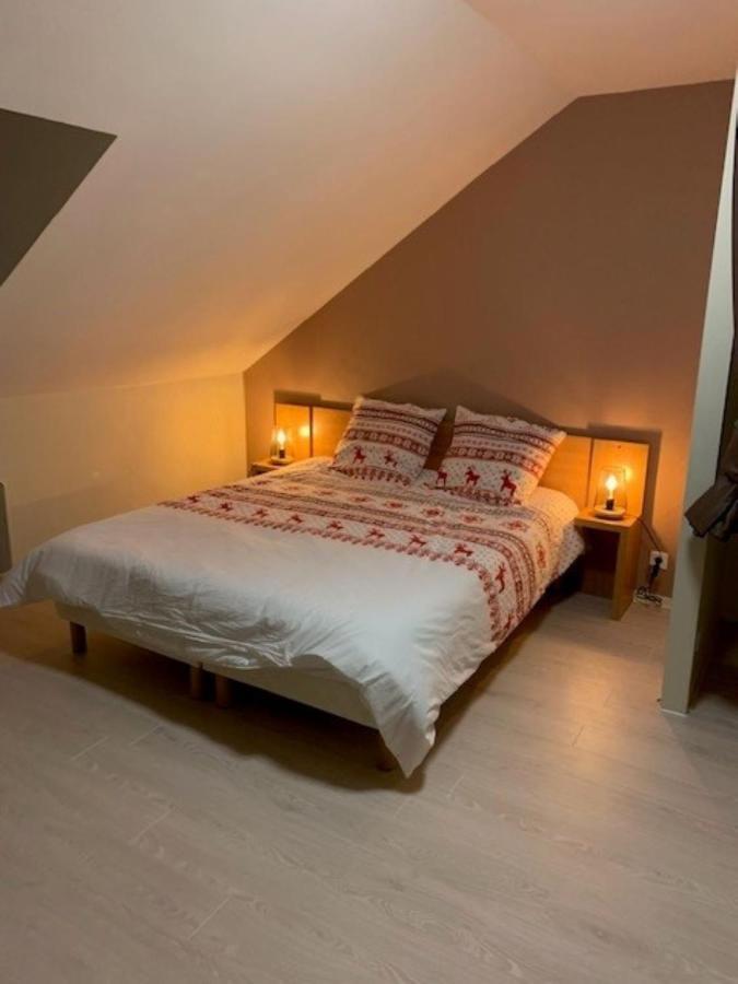 Le Nivelet - Duplex Aux Pieds Des Pistes Toute L'annee Apartment La Féclaz